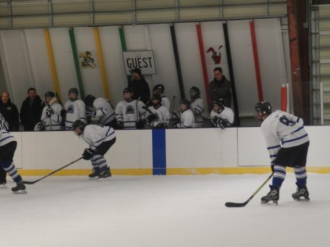 Grizzly Hockey