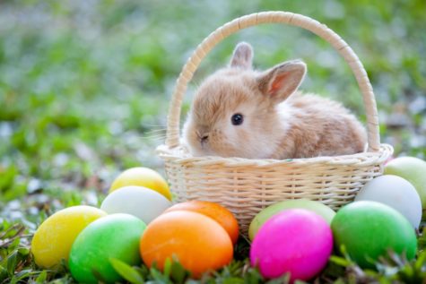 The Origins of Eggs and Bunnies on Easter