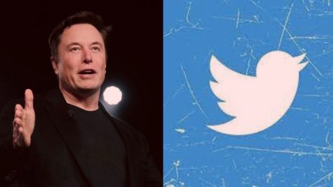 Elon Musk Buys Twitter, Things Immediately Go Downhill