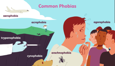 Phobias – How are we Affected?